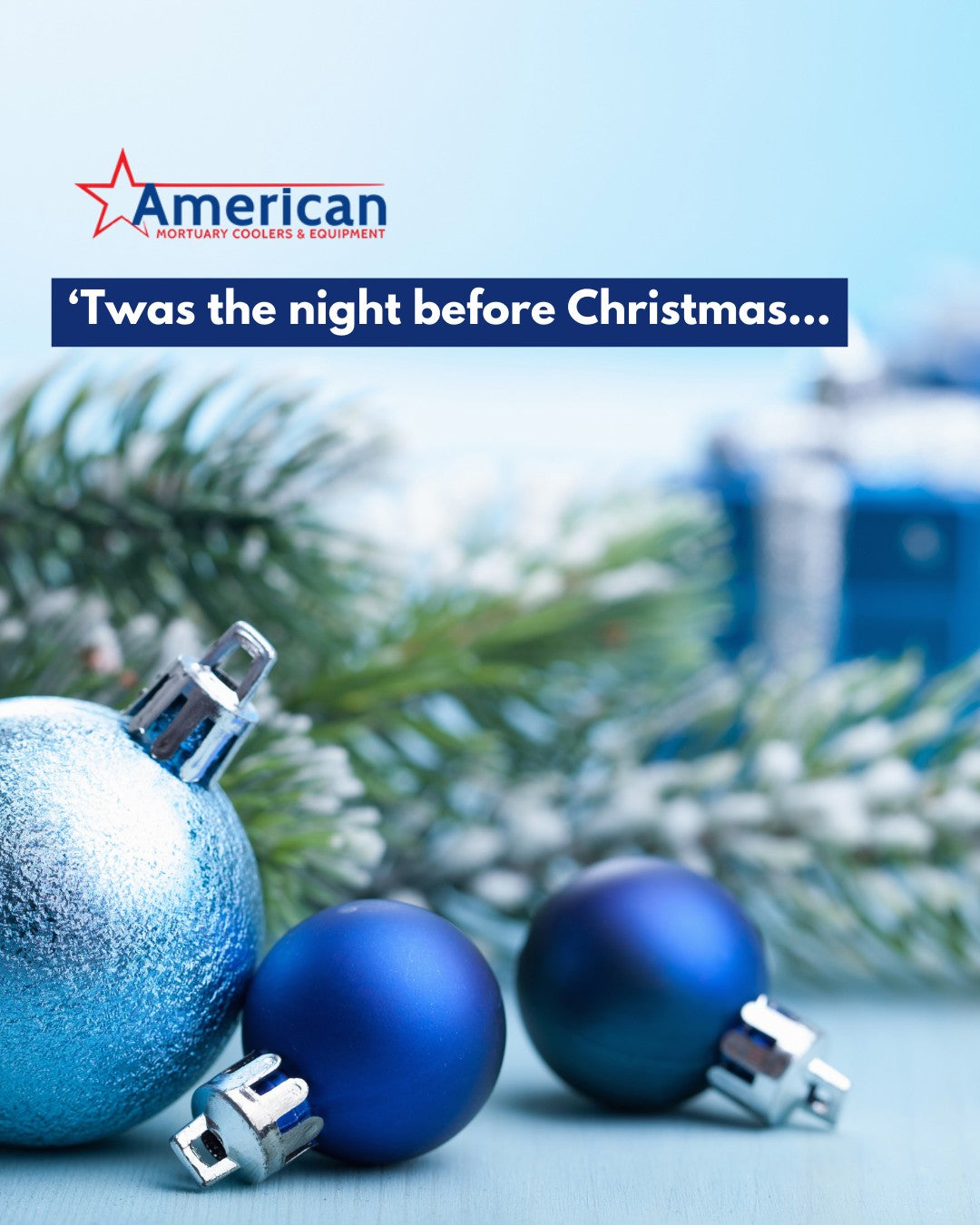 Wishing you a peaceful and joyous Christmas Eve from American Mortuary Coolers!